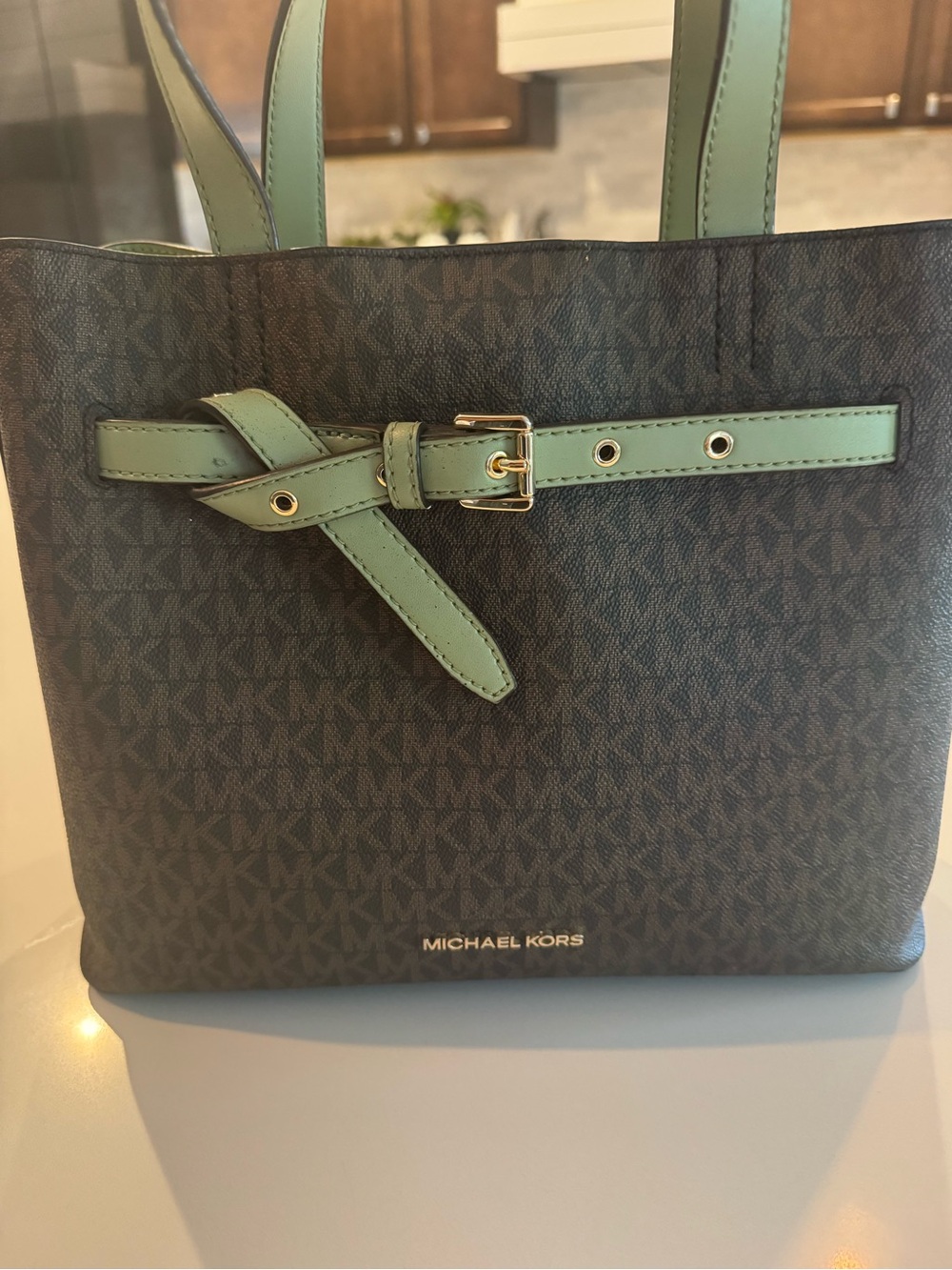 Michael Kors Brown Monogram Tote with Mint Green Trim